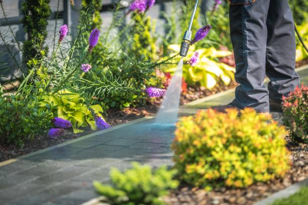 Best Driveway Pressure Washing  in Elk Rapids, MI