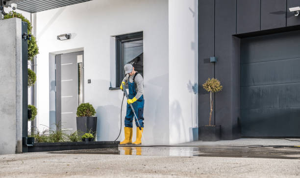 Best House Exterior Washing  in Elk Rapids, MI